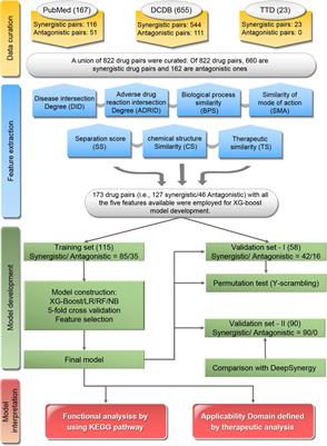 Five-Feature Model for Developing the Classifier for Synergistic vs. Antagonistic Drug Combinations Built by XGBoost